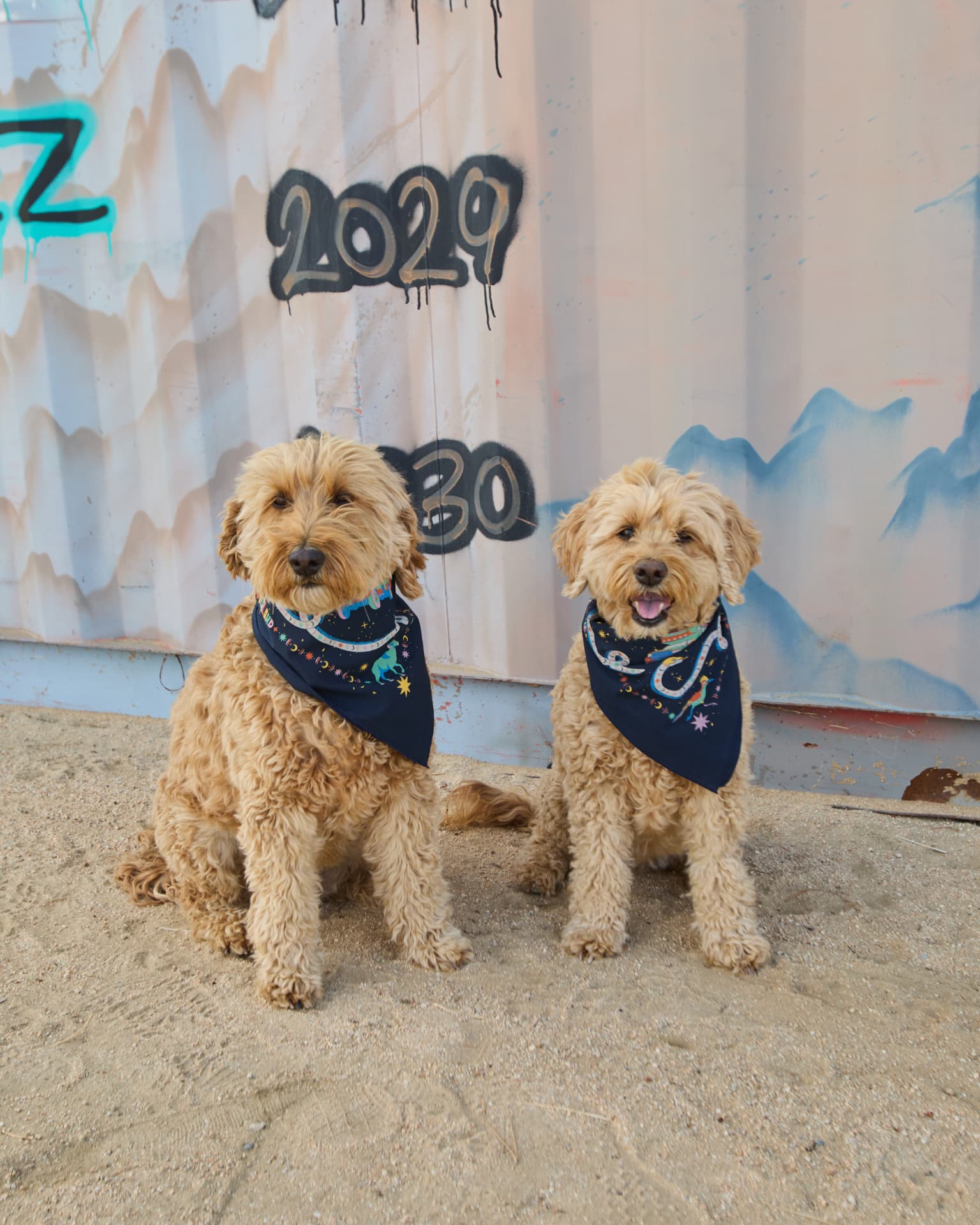 STO Fest 2026 at Lasertown